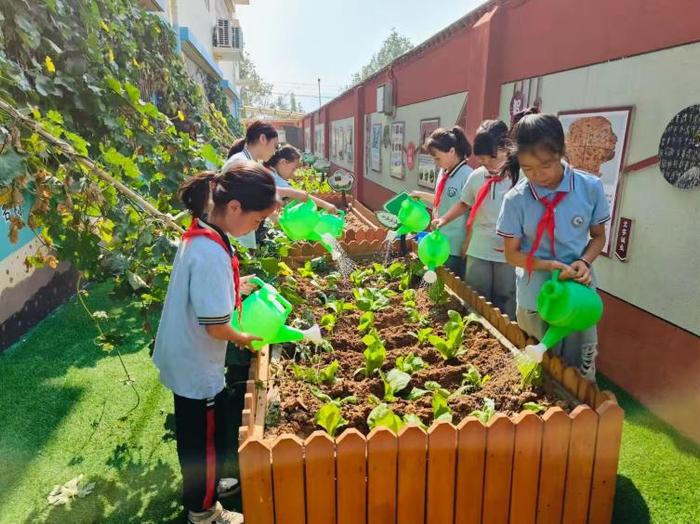 品秋耕之趣 享种植之乐——灞桥区东李小学开展2024年秋季种植活动