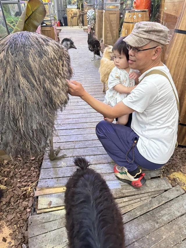 “热带雨林”搬进了商场，来“未知之境”近距离接触稀有萌宠！