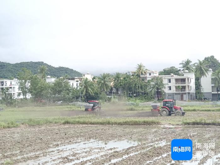 三亚：实施微生物菌肥土壤改良工程 提升农田质量