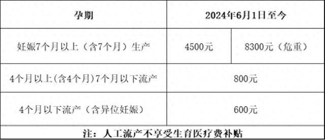 随申办生育保险待遇申领攻略