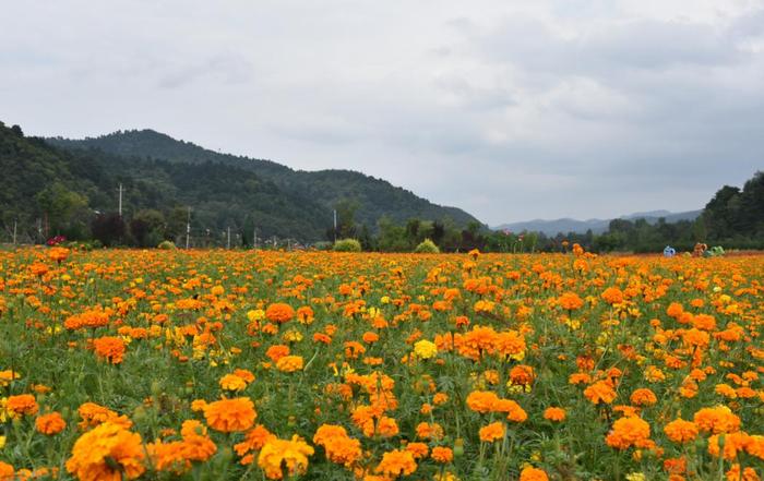 国庆假期去哪玩？铜川105项文旅活动等你来！