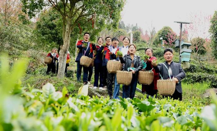 全省率先！黄山名茶获立法保护