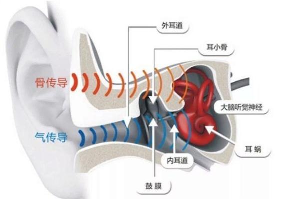 耳机界的劳斯莱斯，千元级音质、久戴不痛，几十块卖疯了！