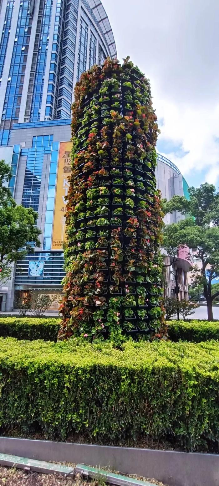 以花为“笔”以长街为“卷”，杨浦36万盆花卉绚烂迎国庆