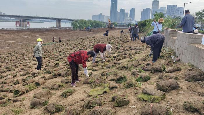 蚌埠靓淮河工程（席家沟—朝阳路桥段）建设者国庆坚守工地