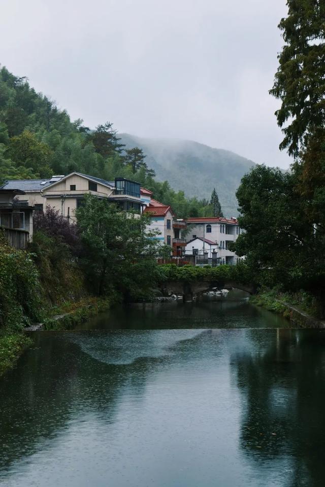 古道、茶园、山野……去安吉享受一次绿色之旅丨乐游长三角