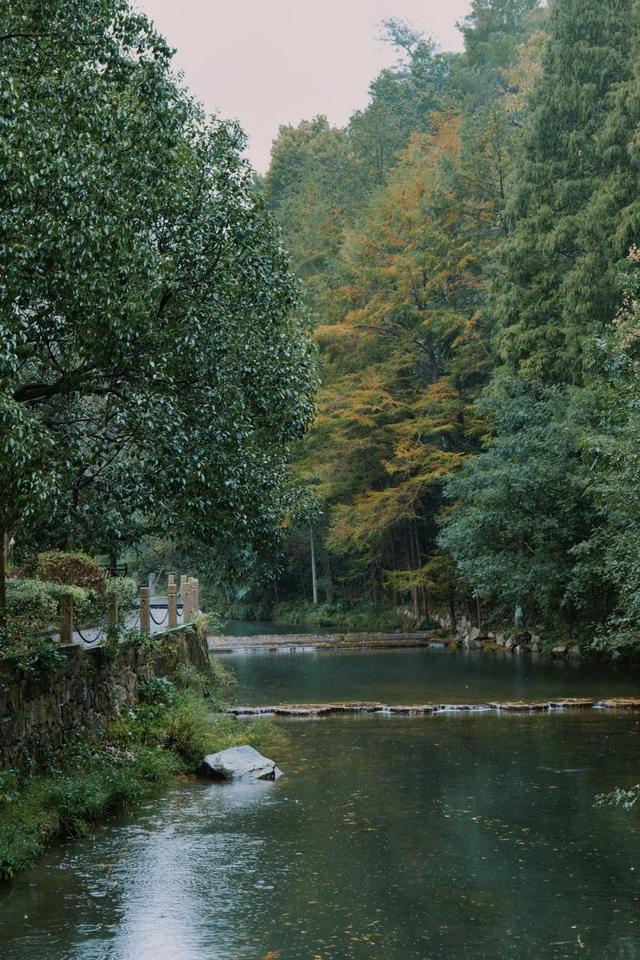 古道、茶园、山野……去安吉享受一次绿色之旅丨乐游长三角