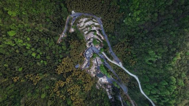 古道、茶园、山野……去安吉享受一次绿色之旅丨乐游长三角