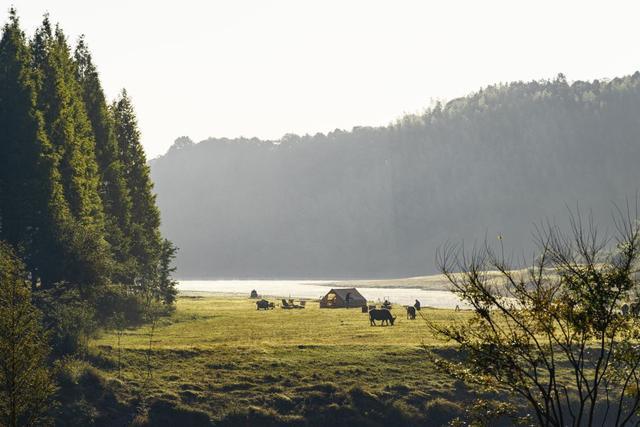 古道、茶园、山野……去安吉享受一次绿色之旅丨乐游长三角