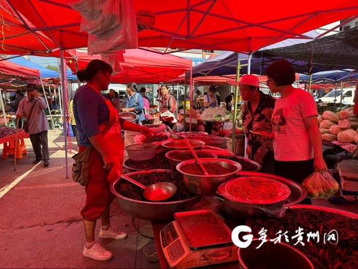 【贵阳最in市集】一位四川摊主售卖贵州辣椒的第七年