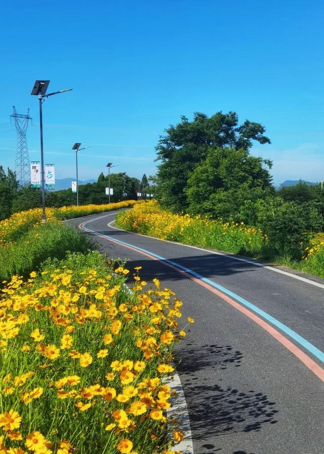 古道、茶园、山野……去安吉享受一次绿色之旅丨乐游长三角