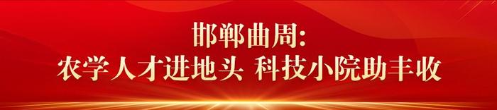 庆祝中华人民共和国成立75周年 | “丰”光无限好②五谷丰登粮满仓