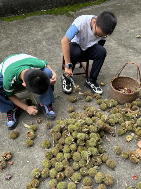 突然火了，有上海游客专程赶去！家长：全程都在旁边紧盯…曾有人眼睛被刺伤，紧急提醒→