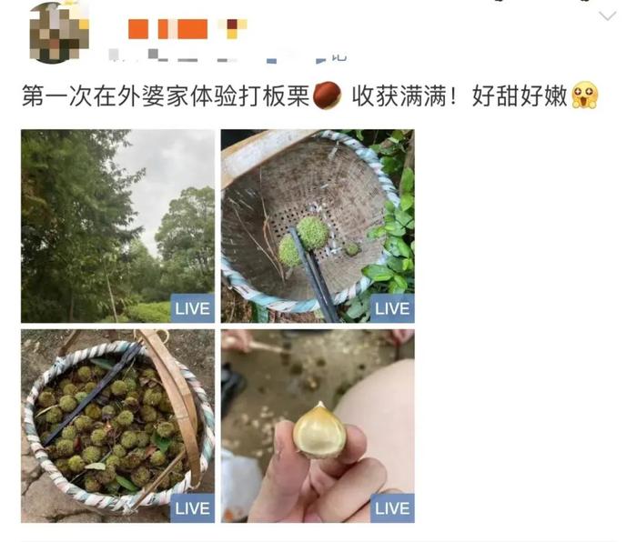 突然火了，有上海游客专程赶去！家长：全程都在旁边紧盯…曾有人眼睛被刺伤，紧急提醒→