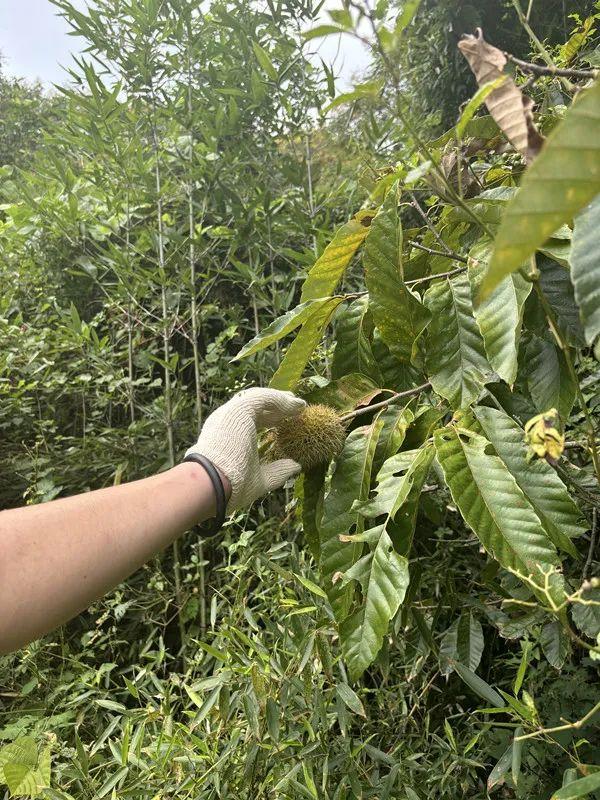 突然火了，有上海游客专程赶去！家长：全程都在旁边紧盯…曾有人眼睛被刺伤，紧急提醒→