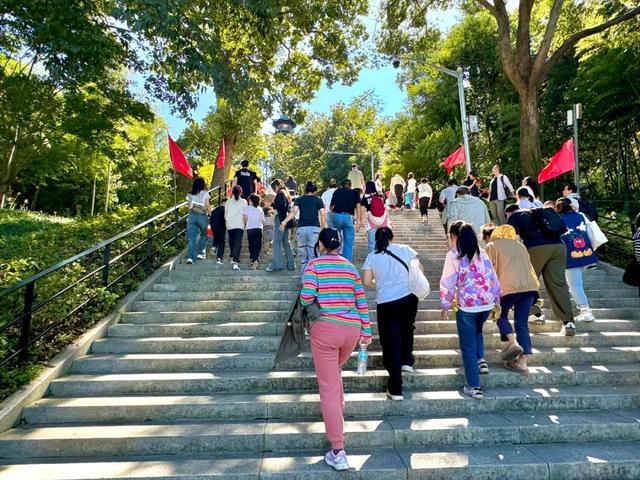 单日客流量突破3万人次！松江这里的梦幻森林之旅人气旺