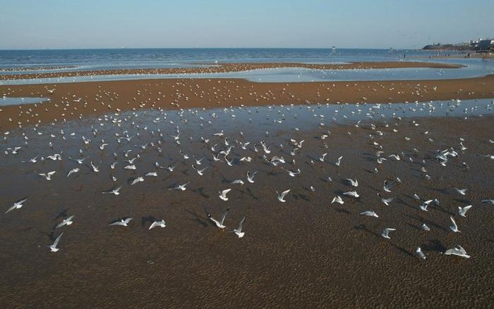 沿着这条海岸线，解锁河北的滨海浪漫→