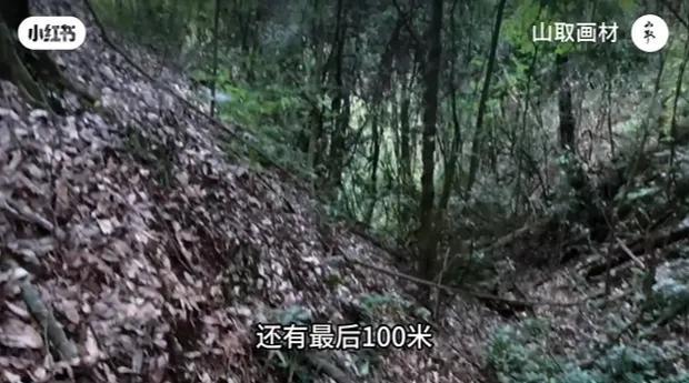 突然爆火！景区发布紧急提示：存在不可预知的危险...“大地磁场强度异常、指南针失灵”