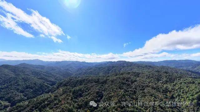 在哀牢山拍写真引热议，当事人回应：是开放景区！多人曾失联遇难，官方紧急发布3条提醒