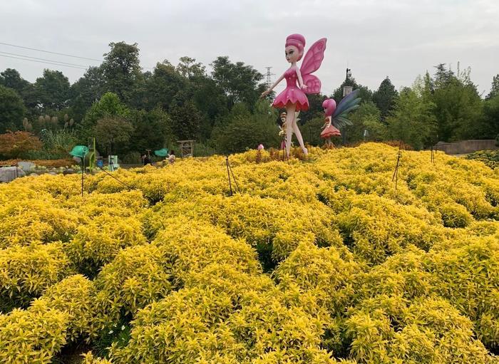 西安植物园赏花观叶正当时