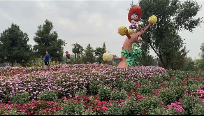 西安植物园赏花观叶正当时