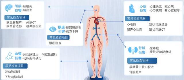 中国高血压日来临，关注血压“安全线”