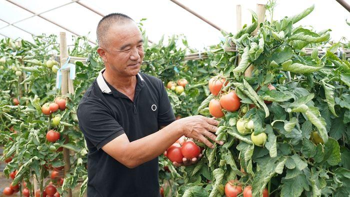 在河西走廊，遇见丰收的味道和颜色