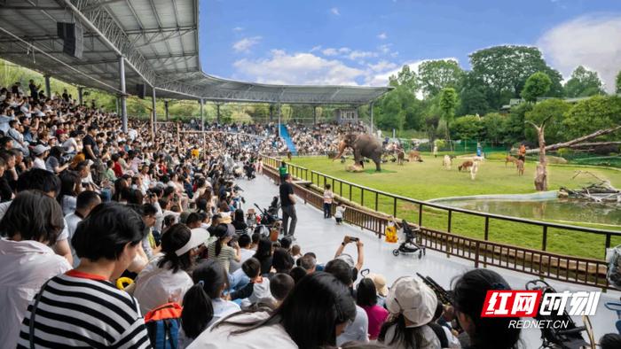 数读国庆⑤丨假期余额不足 湖南各大景区热度不减依旧“人从众”