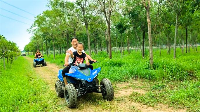 天津市津南区北闸口镇成为市民郊游网红打卡地