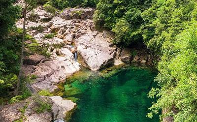 农夫山泉12.5亿投资黄山，打造绿色水厂助力地方经济腾飞