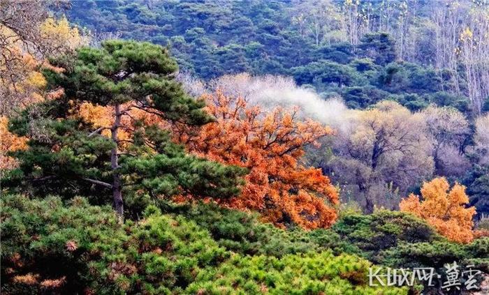 宝藏小城环游“冀” | 这个秋天，一起去北戴河看海