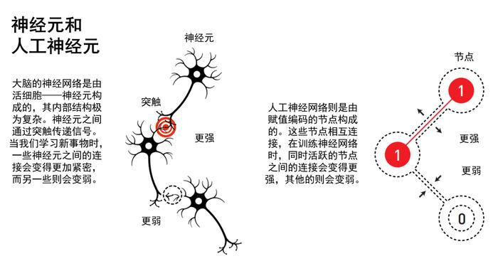 2024年诺贝尔物理学奖跟图灵奖“抢饭碗”？详解→