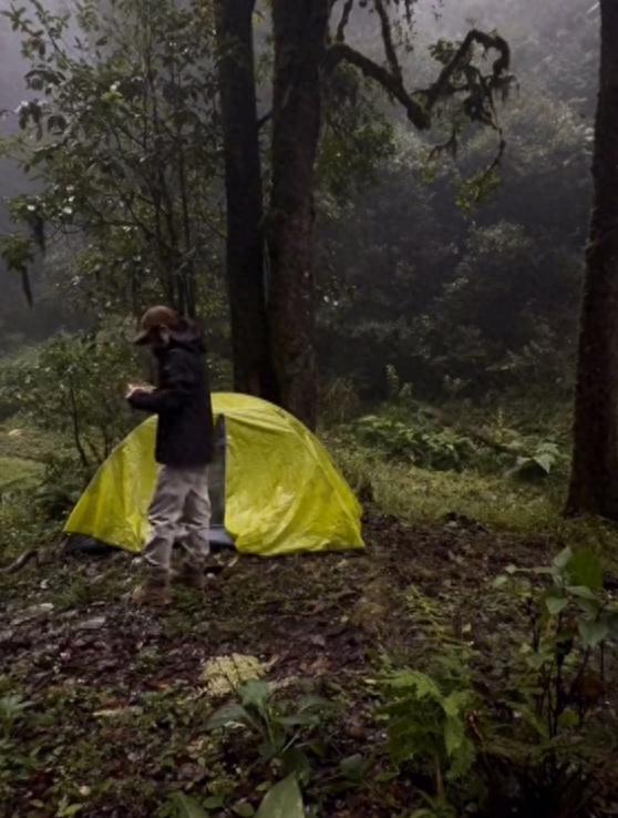 热闻|女博主假期露营哀牢山2天1夜，今日发视频道歉……最新规定：擅闯罚款5000元