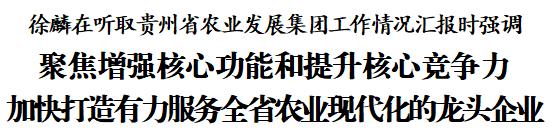 徐麟主持召开专题会议 听取贵州省农业发展集团工作情况汇报并讲话