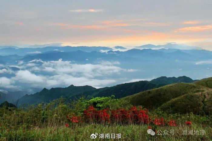 阿勒泰太远，湖南有座“天仙草原”刚刚好