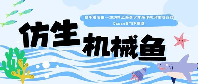 携手看海去——STEM课堂线下体验开放报名