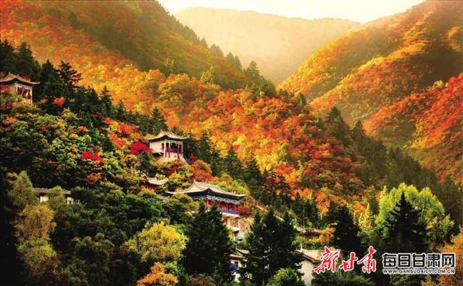 兴隆山“金秋红叶”旅游节10月12日启幕