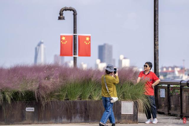 杨浦滨江上演粉色浪漫，把老丁忙坏了