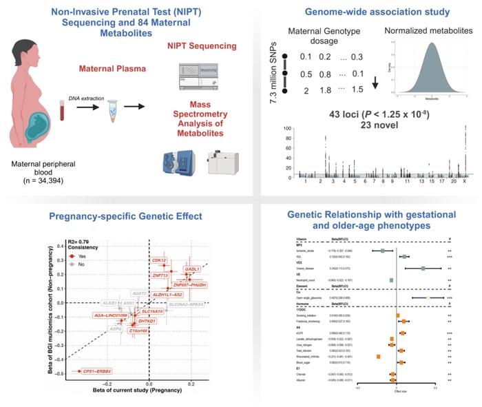 最新研究！系统揭示孕期生化、母子代谢及妊娠期糖尿病的遗传密码(图3)