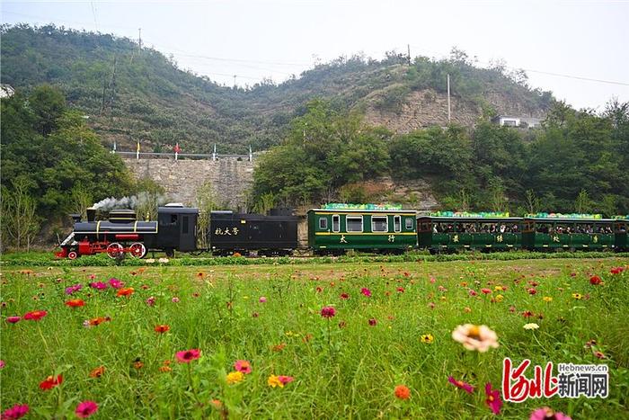 记者走基层丨乘着观光小火车 古村景区“连连看”