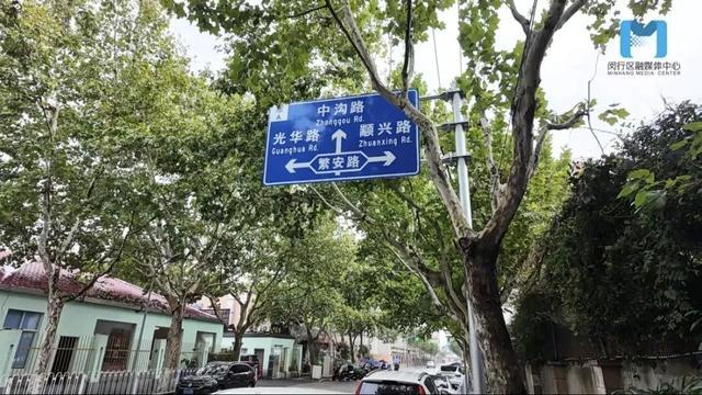 树枝挡道！路口的安全隐患待解决丨民情直通车