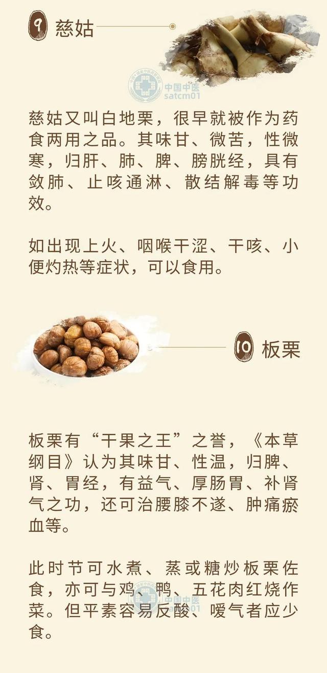 深秋养生素食大盘点，十种食材值得一试