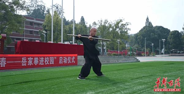 武动青春 岳魂献礼 上洞街学校弘慧项目岳家拳进校园成功启动