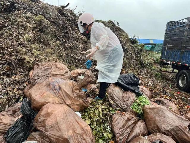 失而复得暖人心！TA们接力为居民找回丢失包包