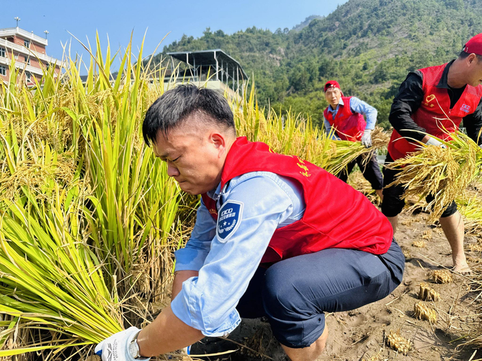 怎么快速的剥谷子 w700d1q75cms.jpg?by=cms_fixed_width