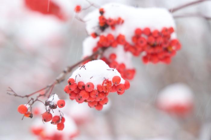 暴雪来了！雪后的漠河……