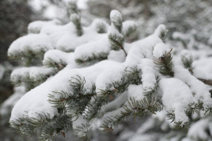 暴雪来了！雪后的漠河……