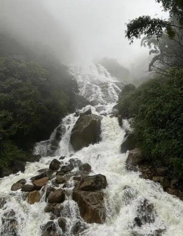 哀牢山发现全球仅千只的鸟 爆火的哀牢山再引关注