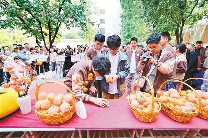 这所学校上演超燃“柿王”争霸赛