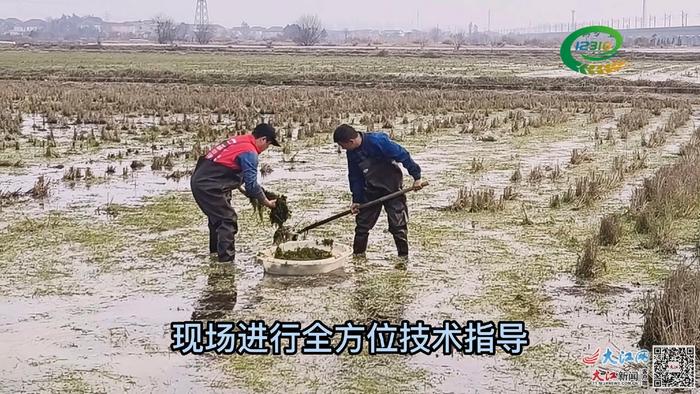 行业见证江西75年|一根小热线变成为农服务大平台